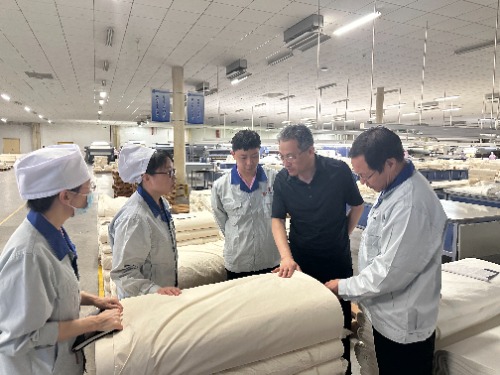 常山集團黨委副書記、副董事長、總經(jīng)理楊瑞剛赴恒盛分公司督導(dǎo)調(diào)研